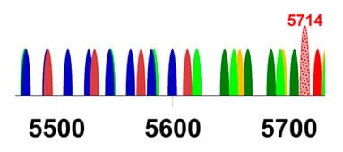 Каналы в диапазоне 5.8  